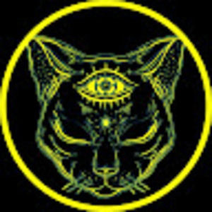 Meet your Posher, Feel licks gang